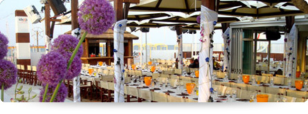 ristorante Mojito Beach Riccione